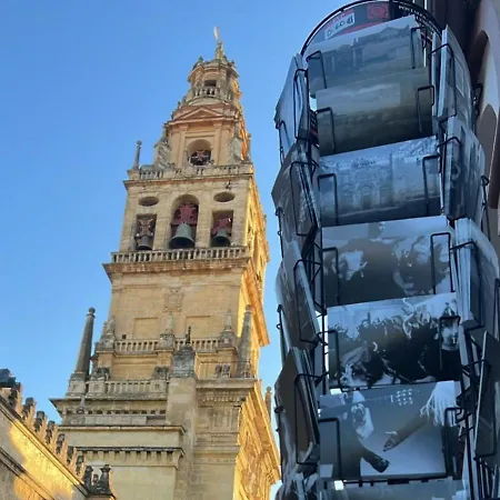 Campanario De La Magdalena Córdoba