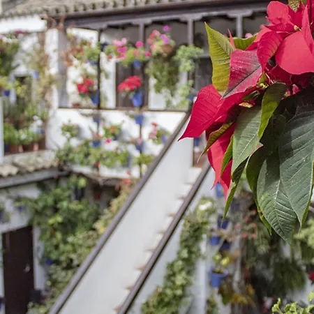 Campanario De La Magdalena * Córdoba