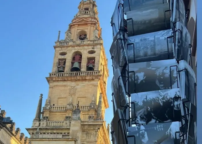 Campanario De La Magdalena Córdoba